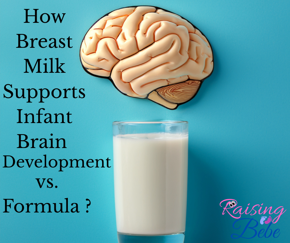 A glass of milk placed against a blue background with an illustration of a human brain above it. The text on the image discusses how breast milk supports infant brain development compared to formula. The logo "Raising Bebe" is in the lower right corner.